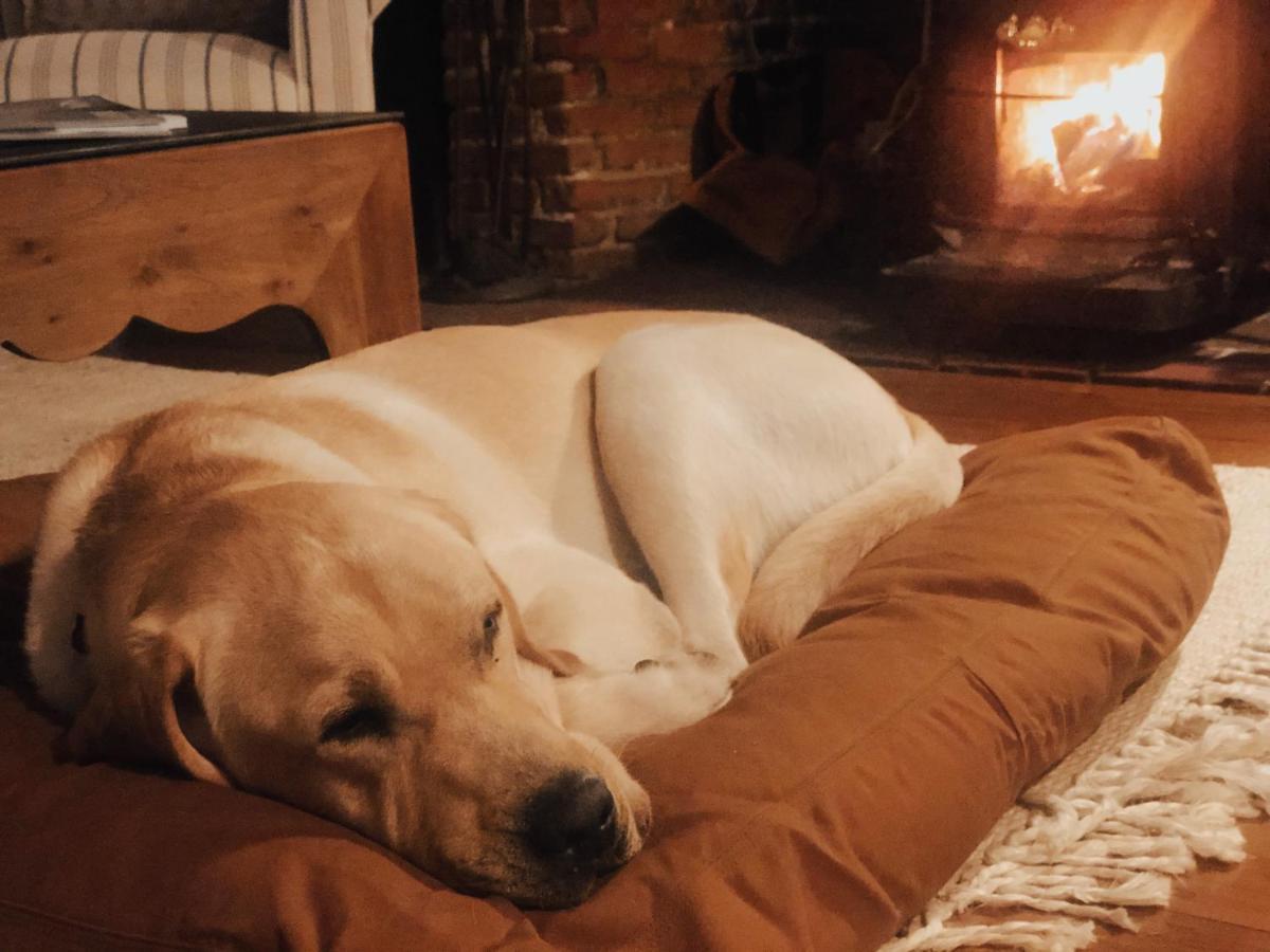 Cedar Hill Farm B & B Essex 外观 照片